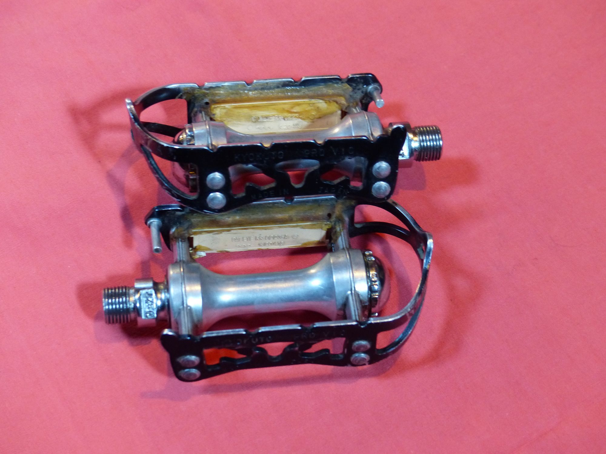 P1070994_klein.JPG