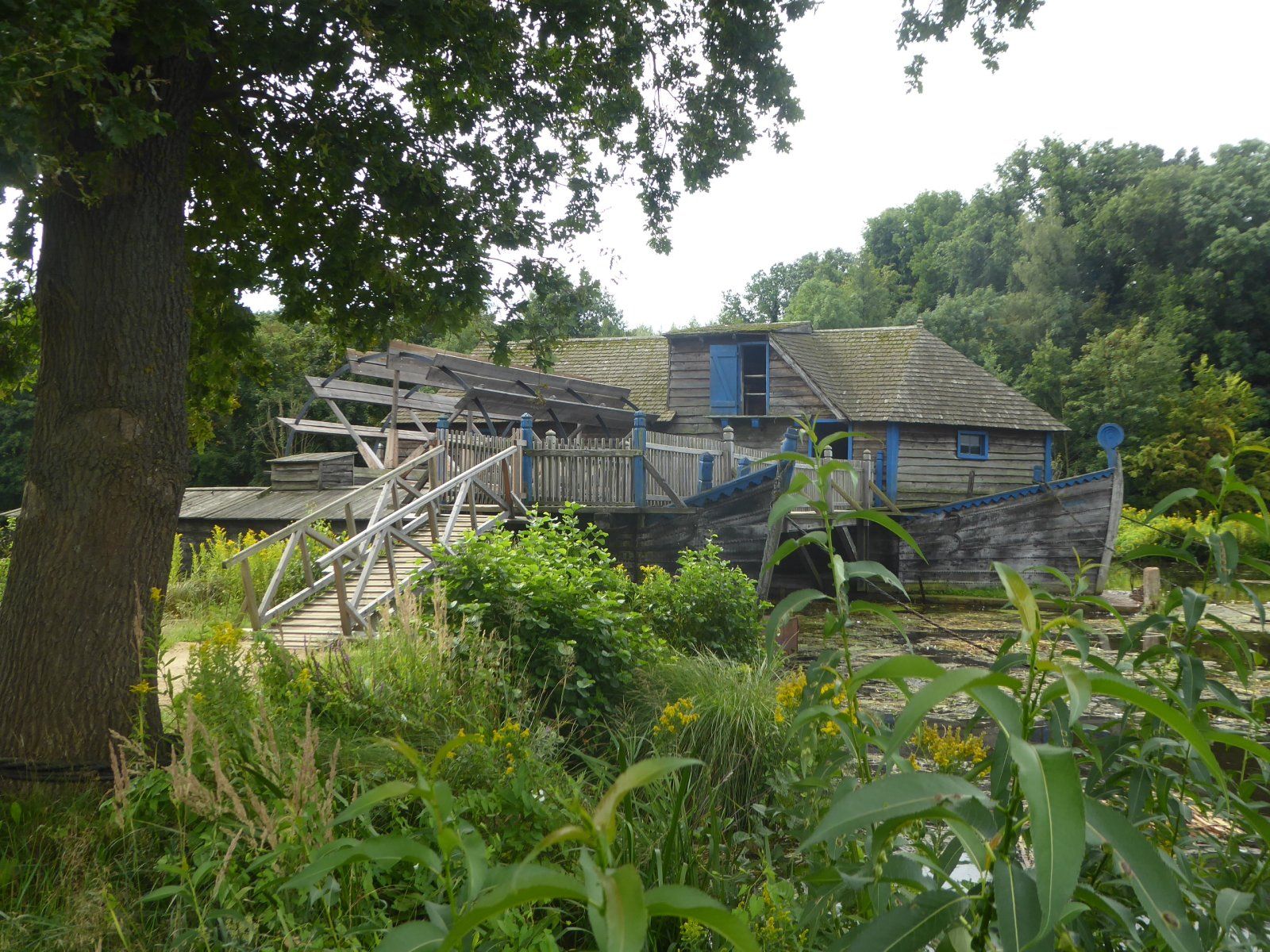 P1080013.JPG
