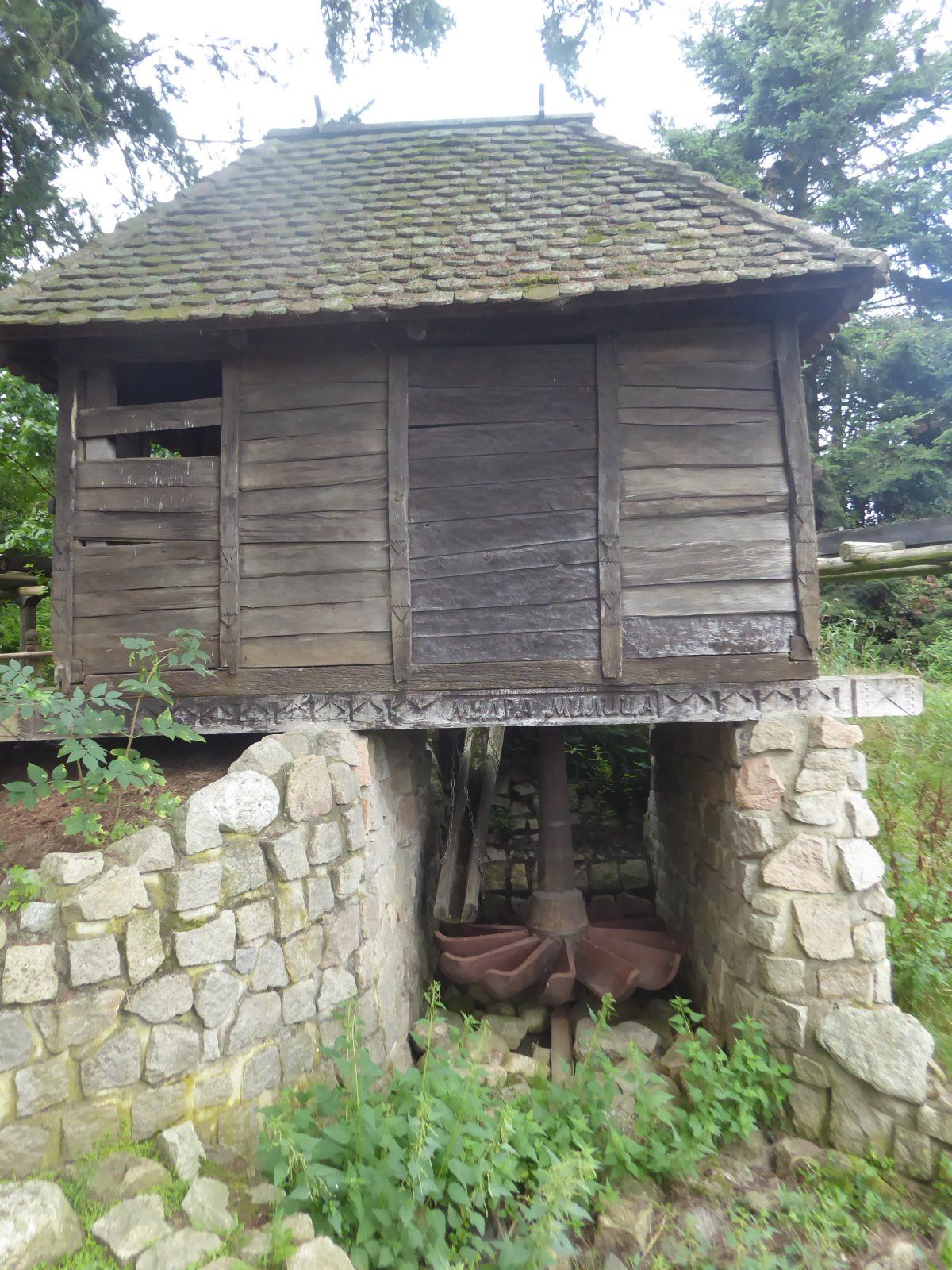 P1080018.JPG