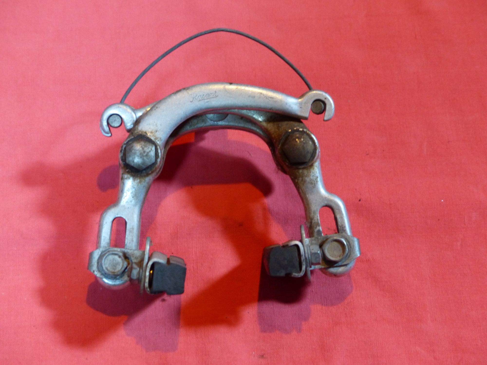 P1080023_klein.JPG