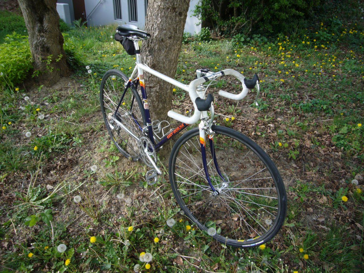 P1080029.JPG