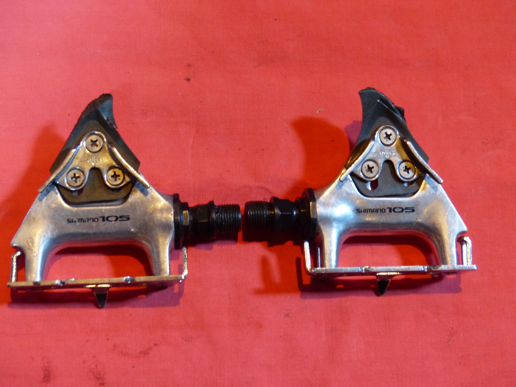 P1080082_klein.JPG