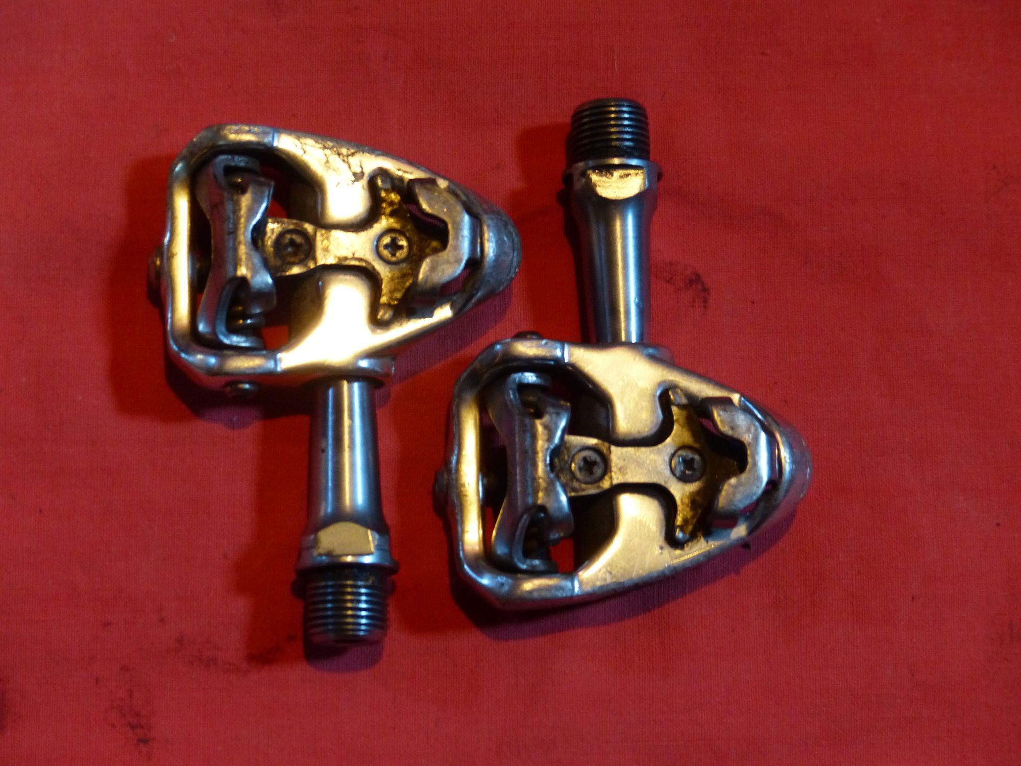 P1080109_klein.JPG