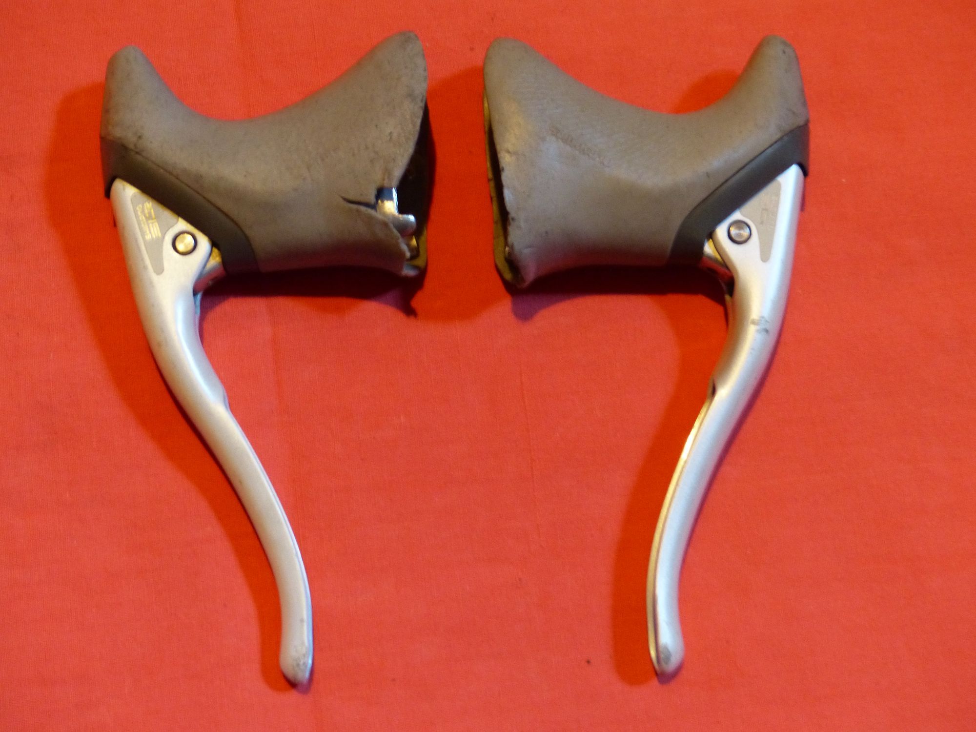 P1080122_klein.JPG