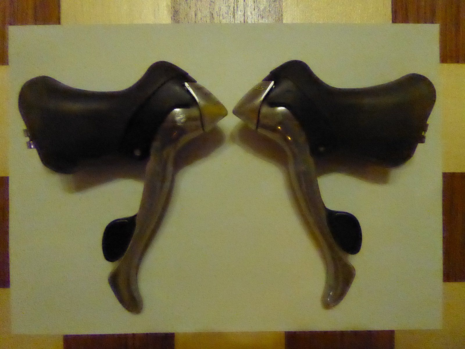 P1080137.JPG