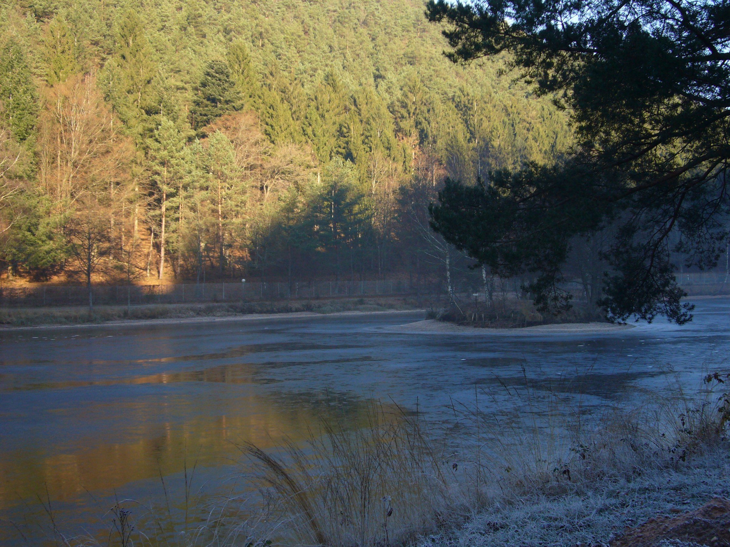 P1090557.JPG