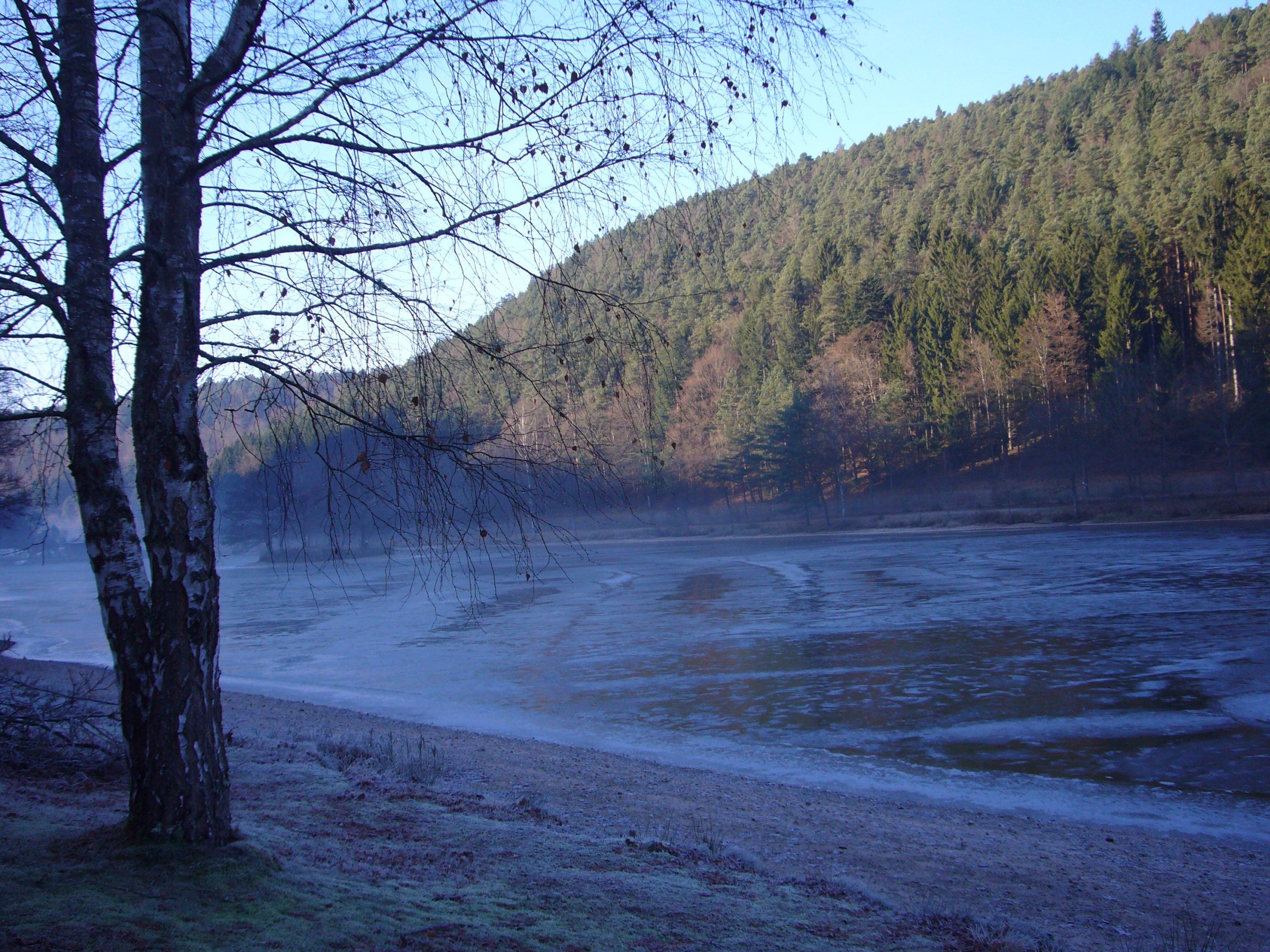 P1090560.JPG