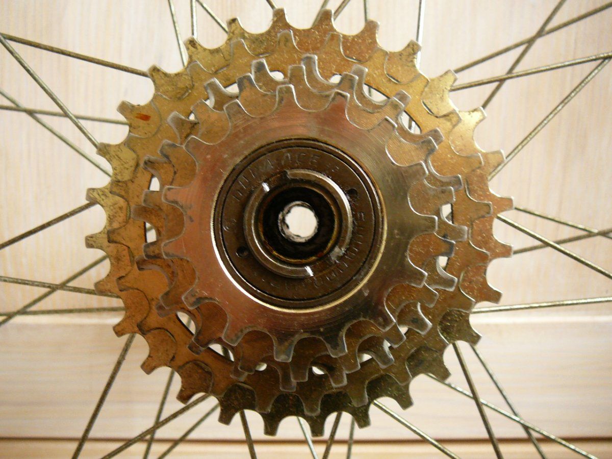 P1100347.JPG