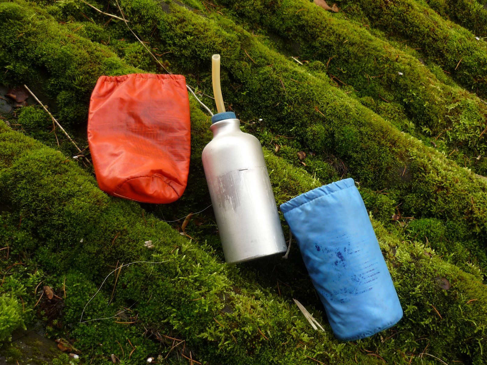 P1100373.JPG