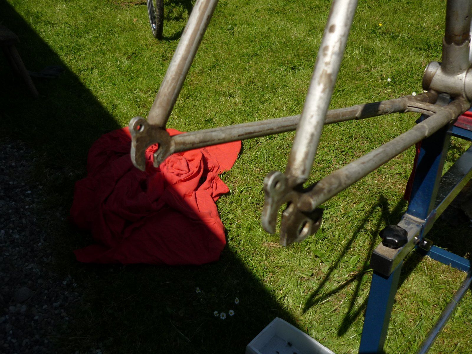 P1100644.JPG