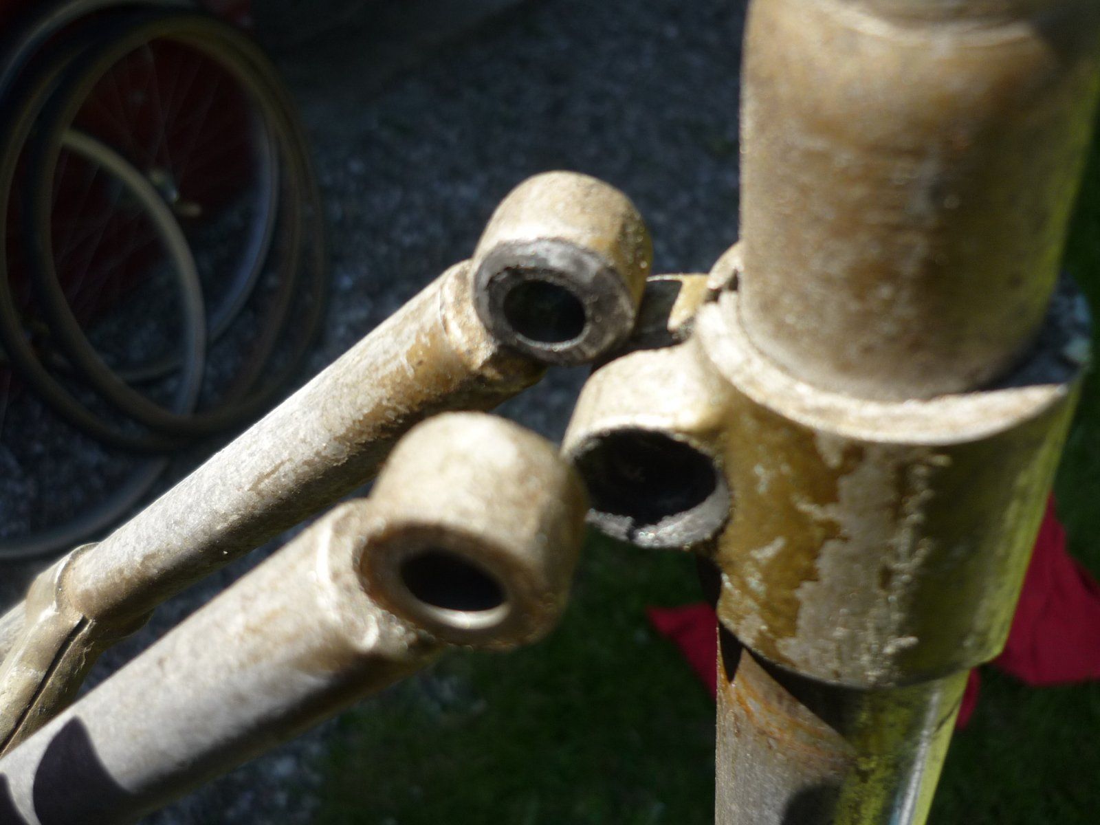 P1100651.JPG