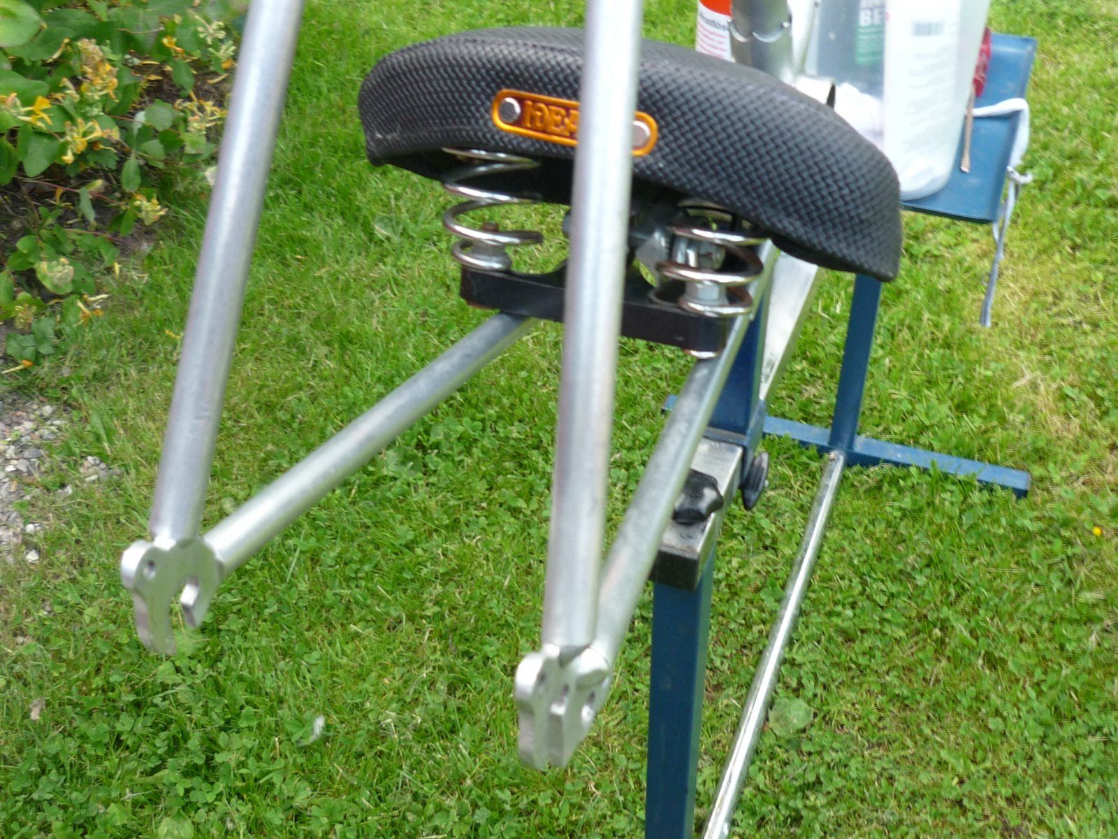 P1100662.JPG