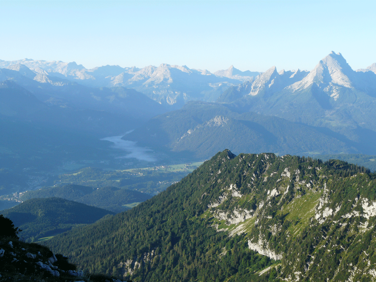 P1190706_web.gif