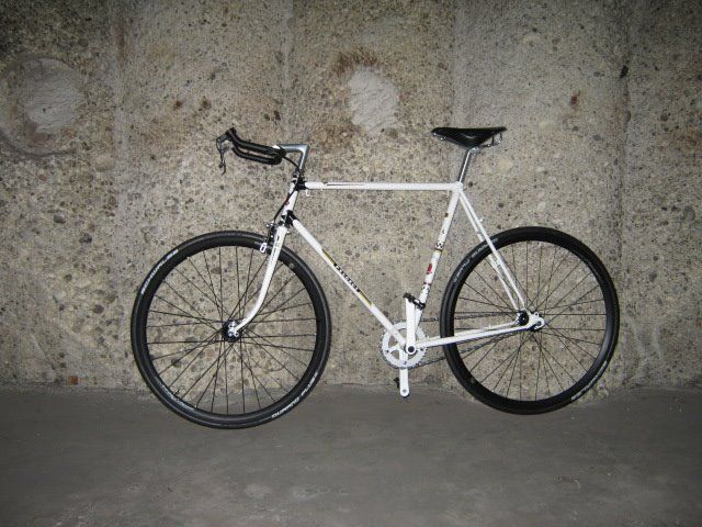 p2.jpg