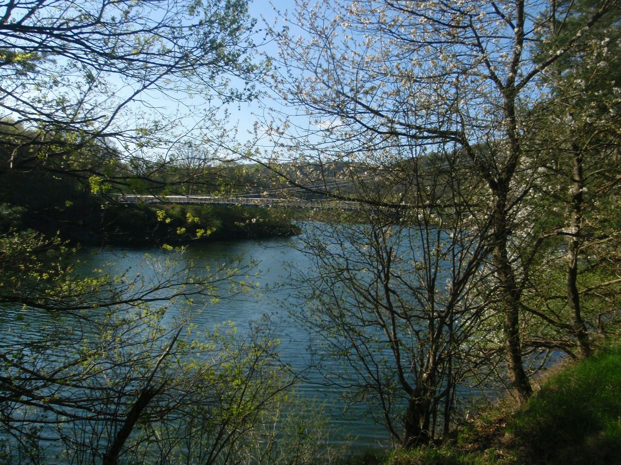P5047370.JPG