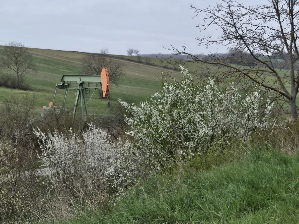 p6.jpg