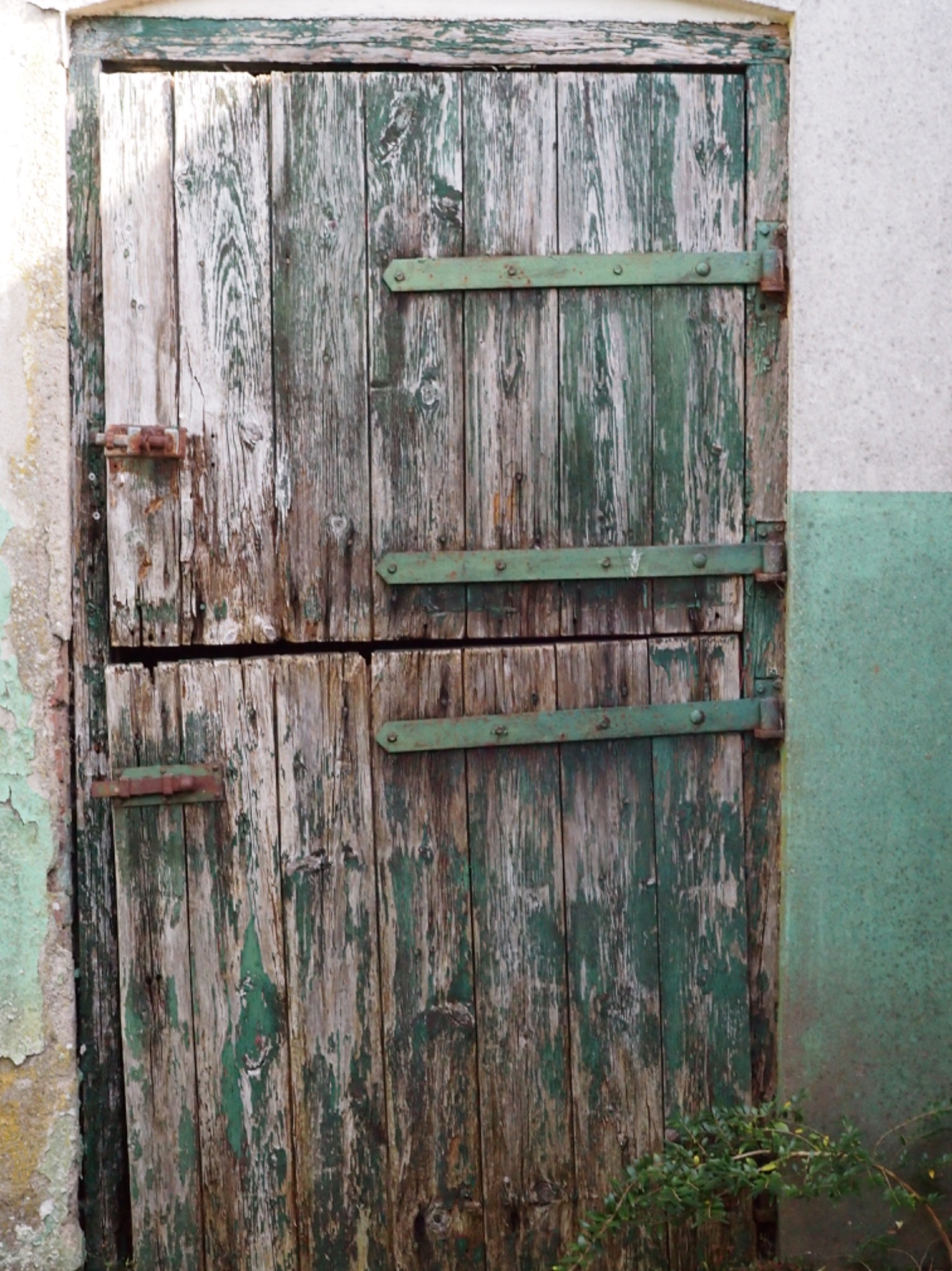 P9264507.jpeg