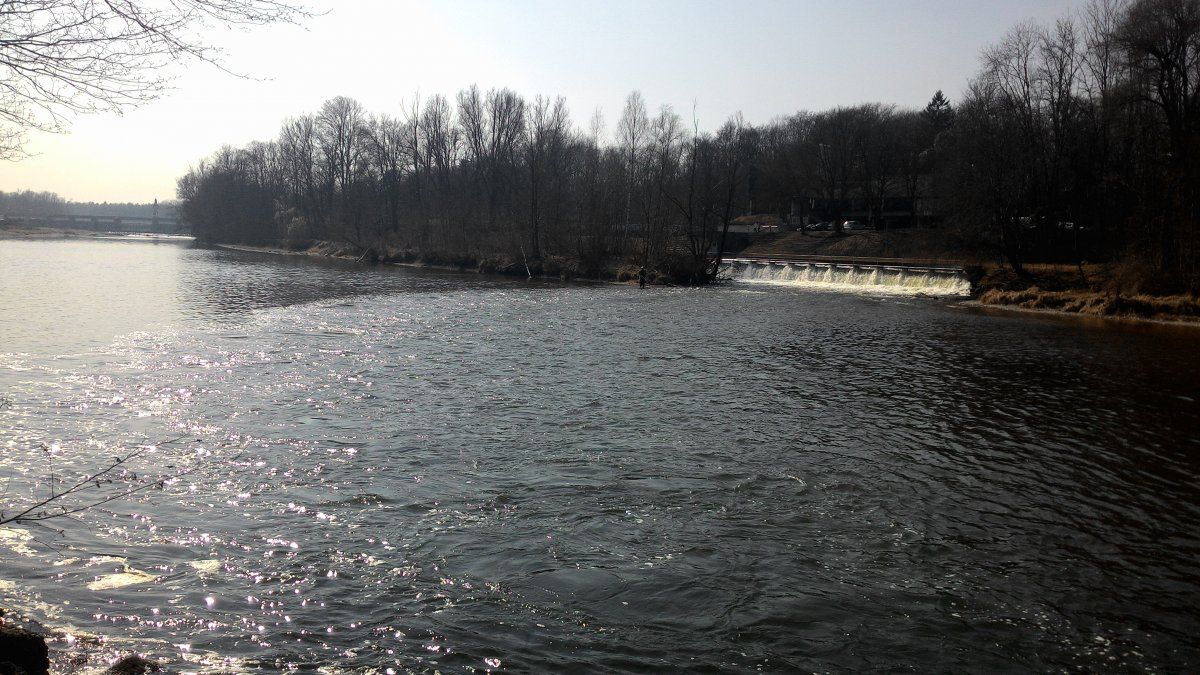 P_20150319_124018.jpg