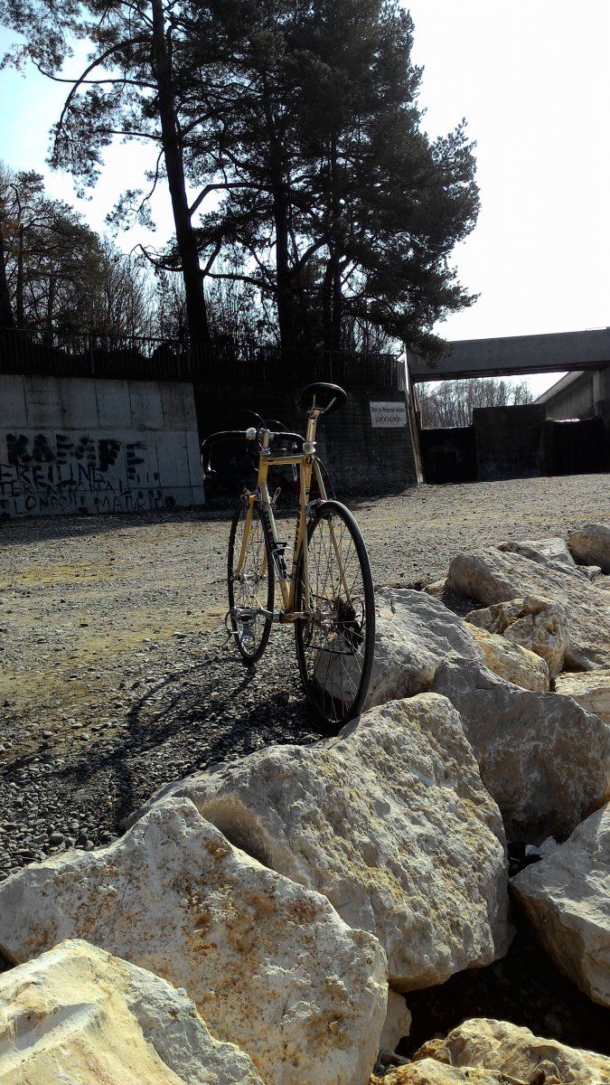 P_20150319_134806.jpg