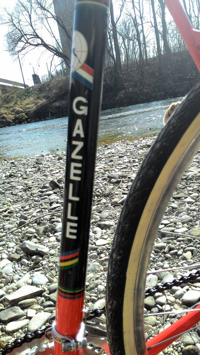 P_20150408_155008.jpg