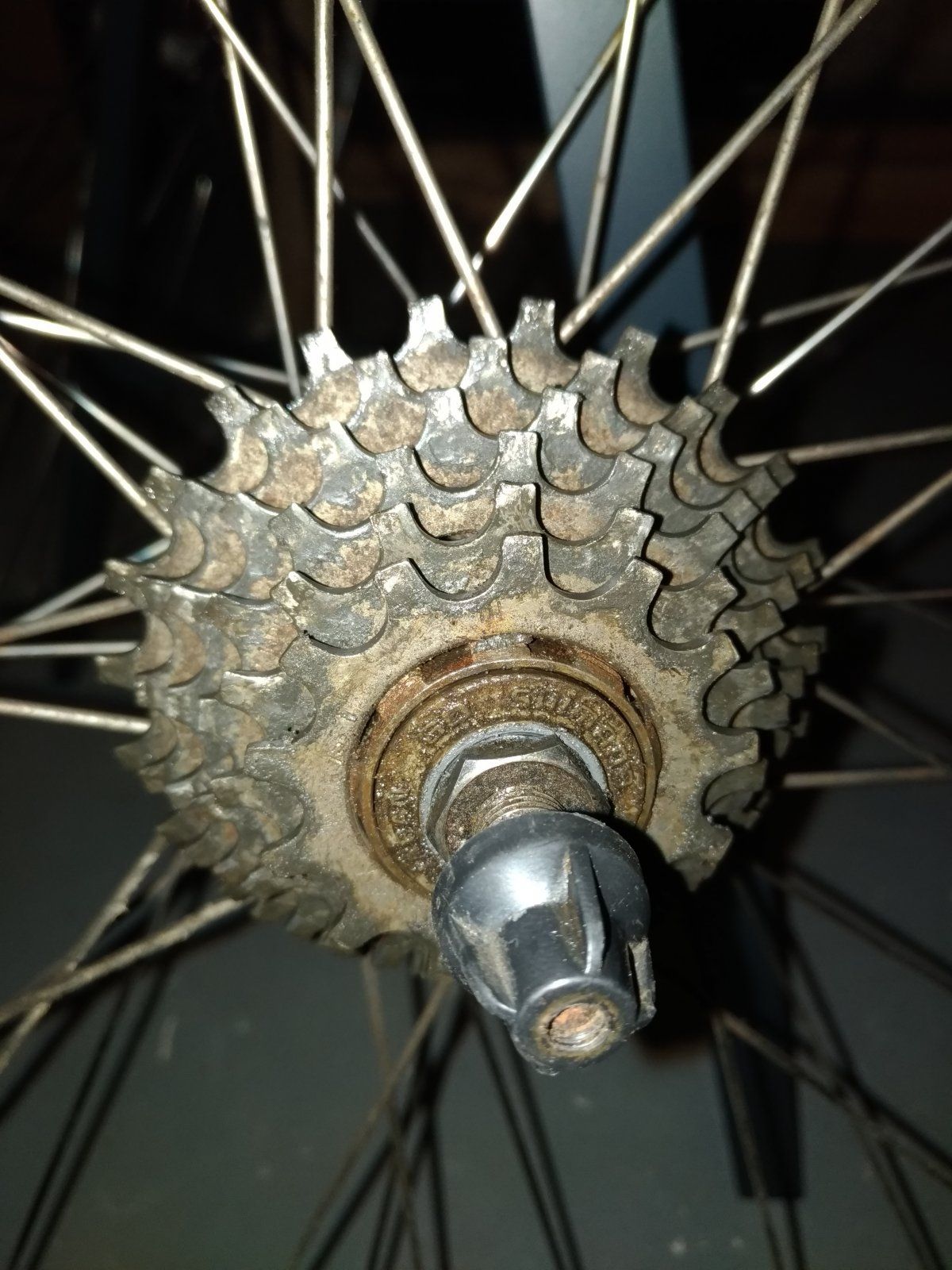 P_20191224_171322_vHDR_Auto.jpg
