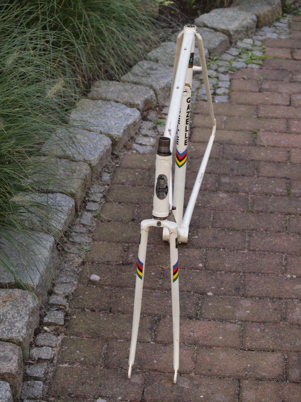 PA100197.JPG