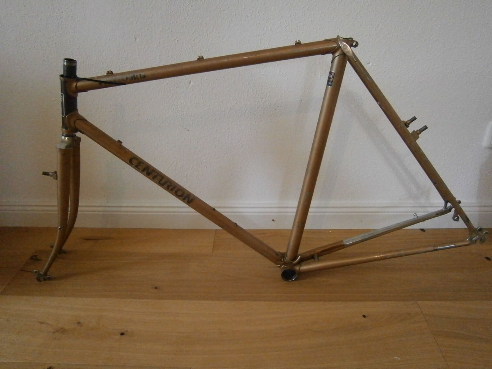 PA221230.JPG