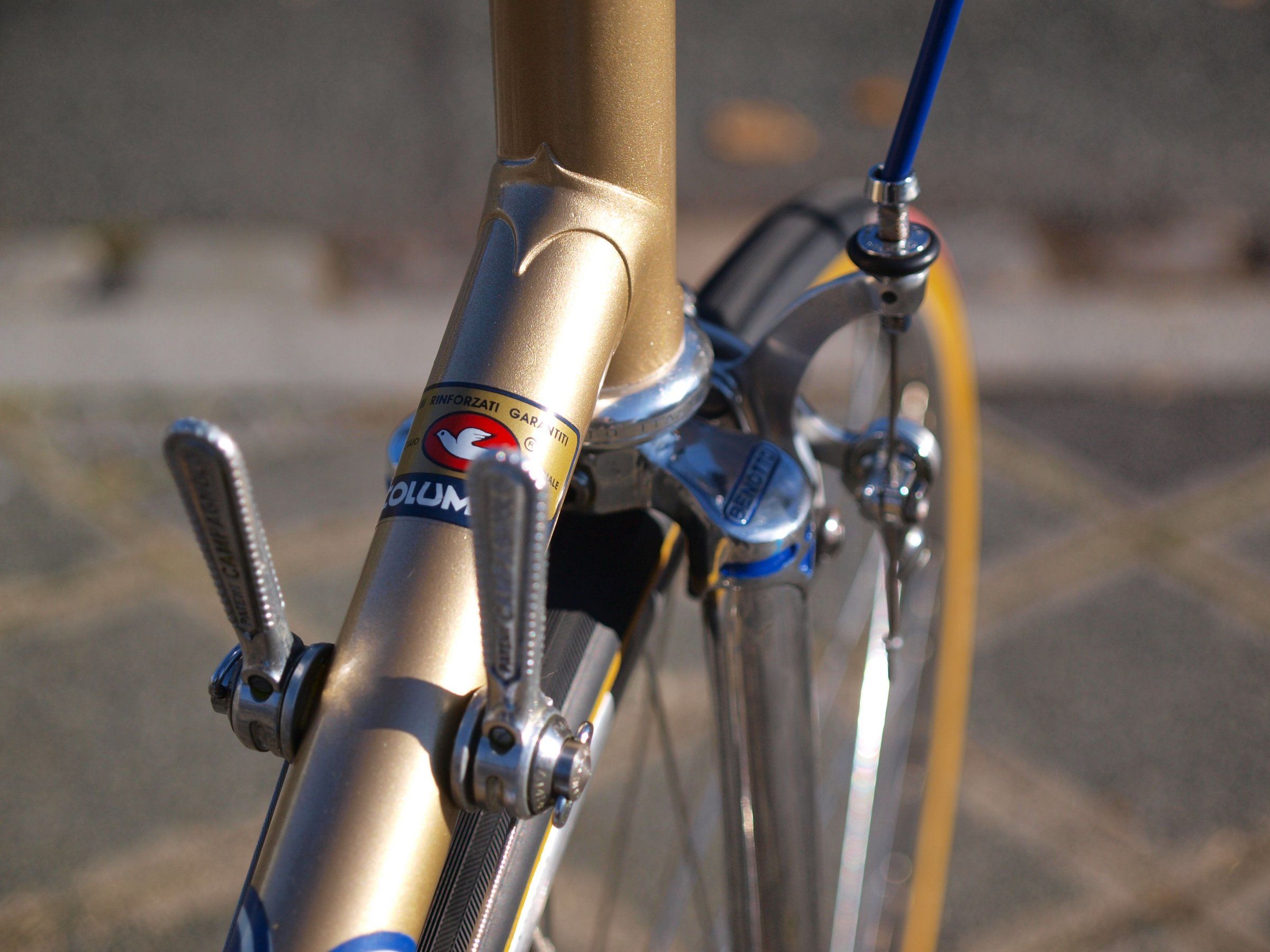 PA313232.JPG