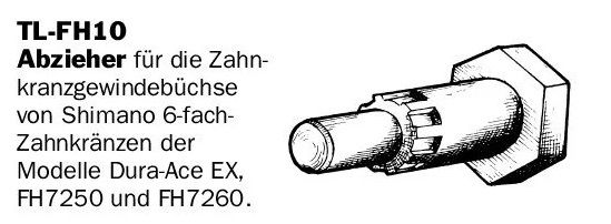 page_15 Ausschnitt.jpg