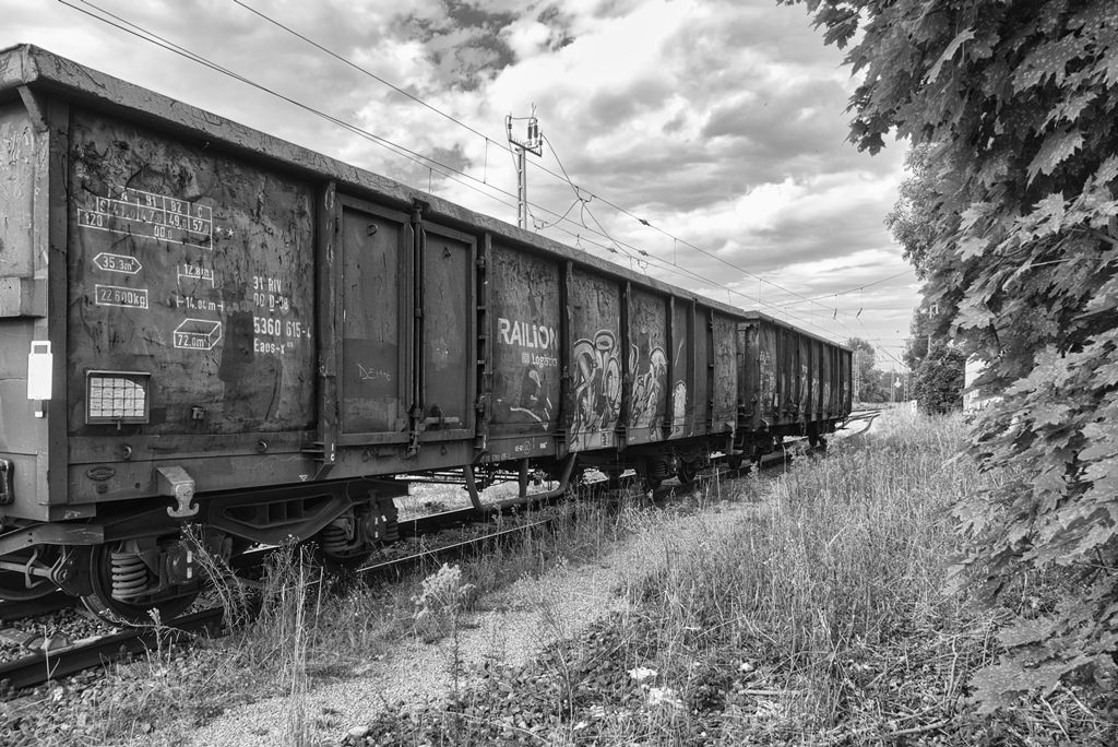 PANA5019-sw.jpg