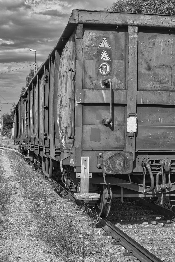 PANA5021-sw.jpg