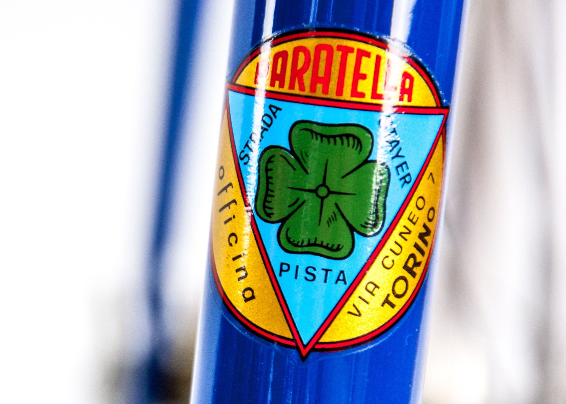 paratella-1977-7.jpg