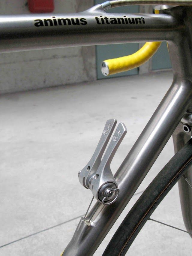 Passoni-Animus-Titanium-vintage_4.jpg