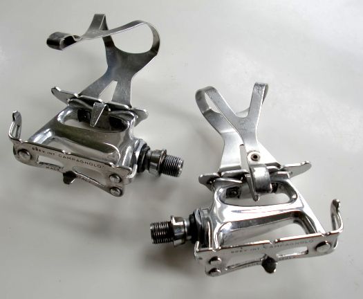 ped1.jpg