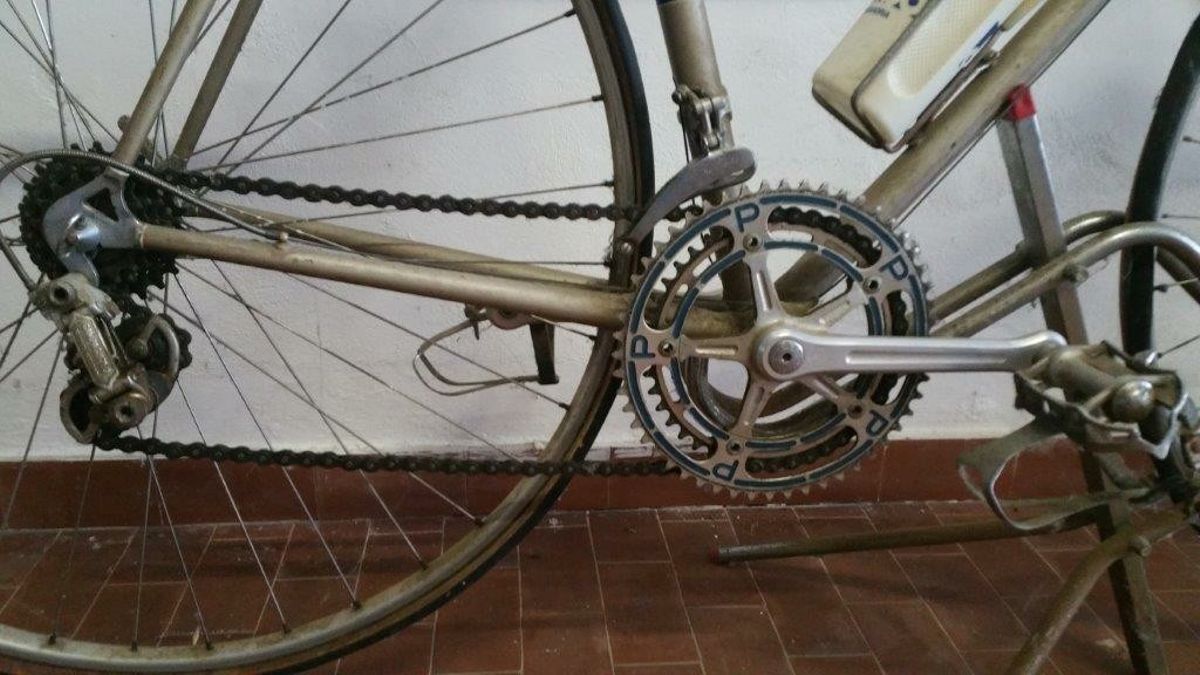 Peloso strada corsa Campagnolo 1060 dropouts (4).jpg