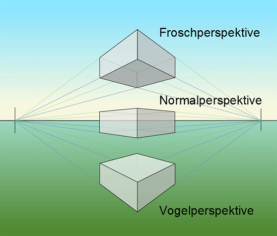 perspektive-frosch-vogel16b.png