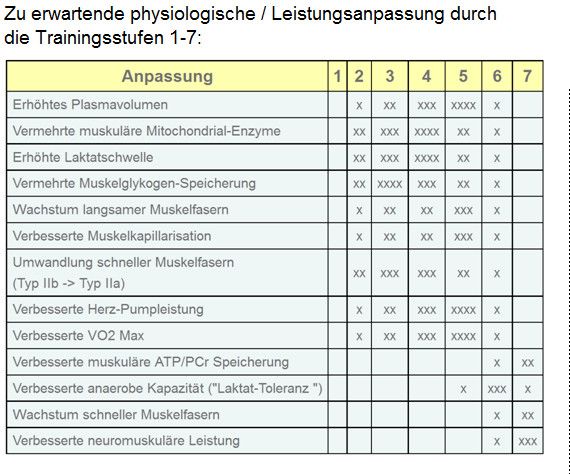 Physiologische Anpassungen L1 bis L7.jpg