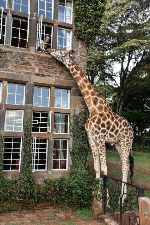 picdump-18-03-23-034-480x719.jpg