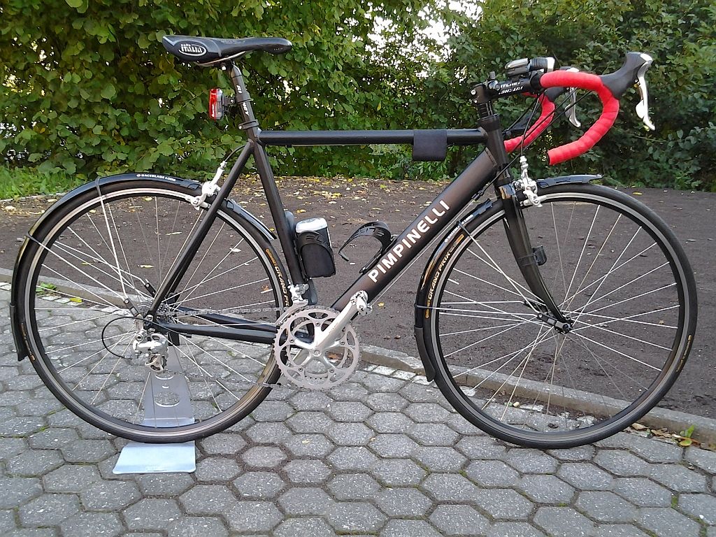 Pimpinelli Winterrad.jpg