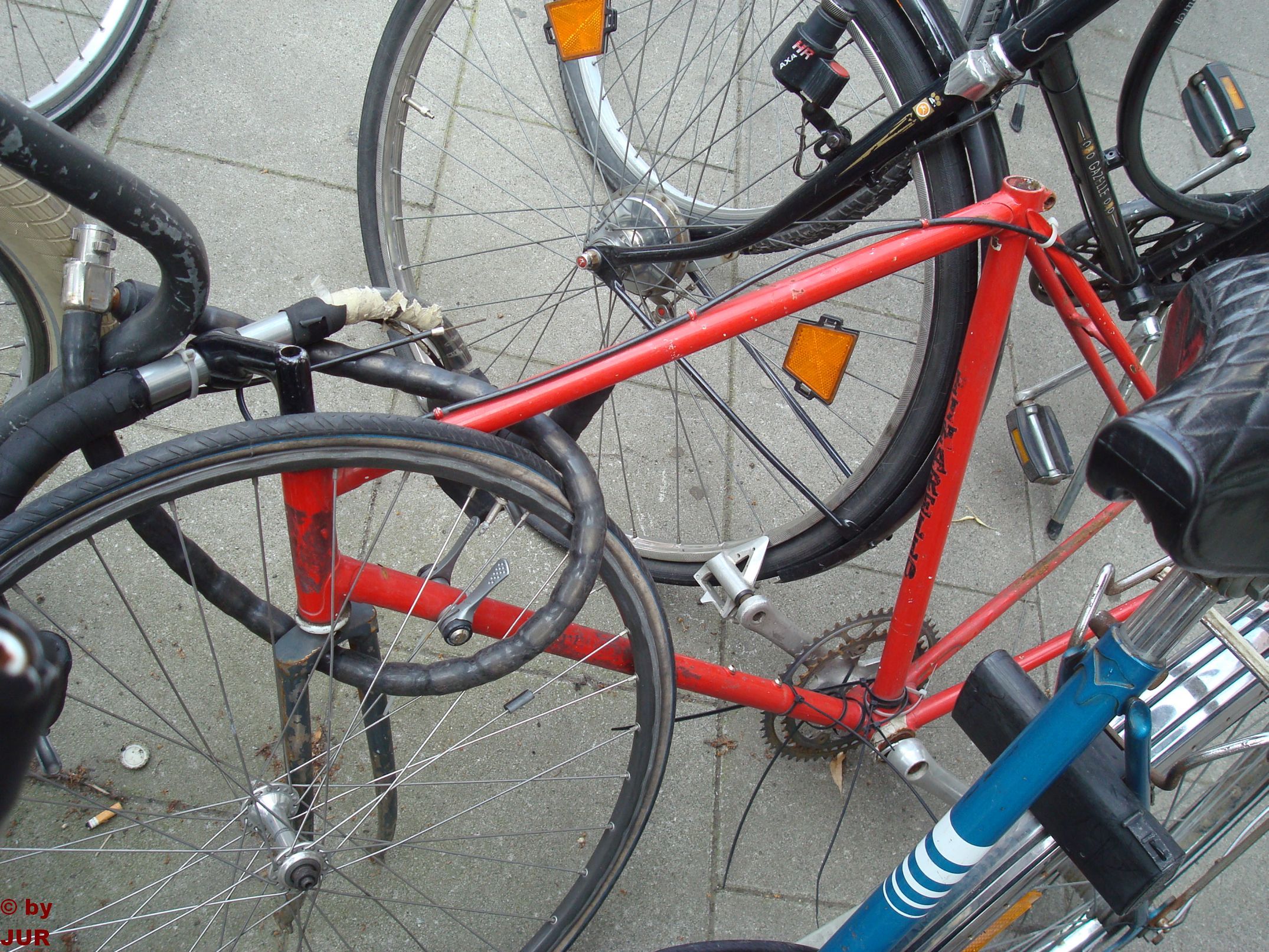 Pinarello01.jpg