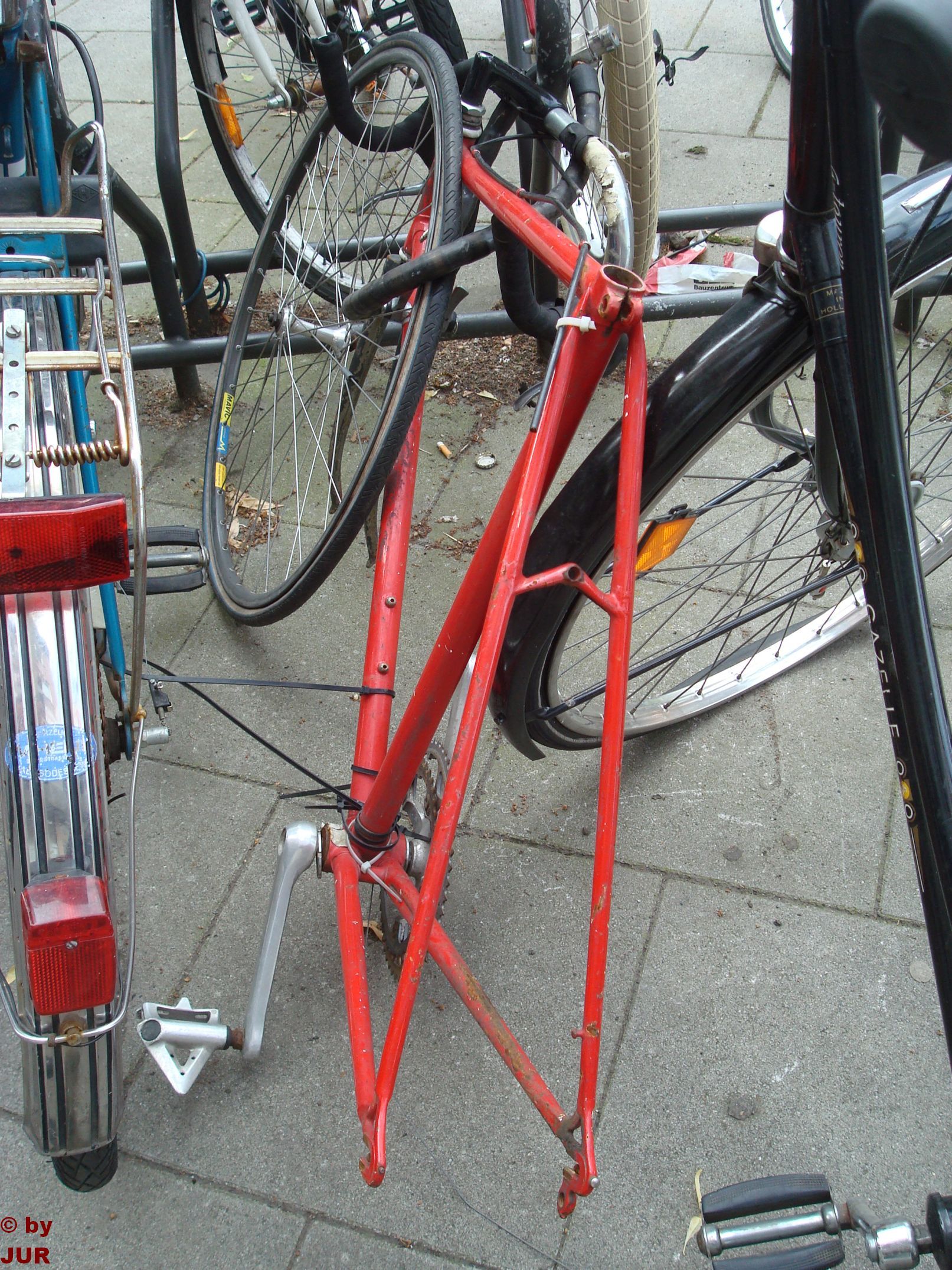 Pinarello02.jpg