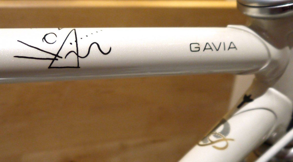 Pinarello_FRX_2.jpg