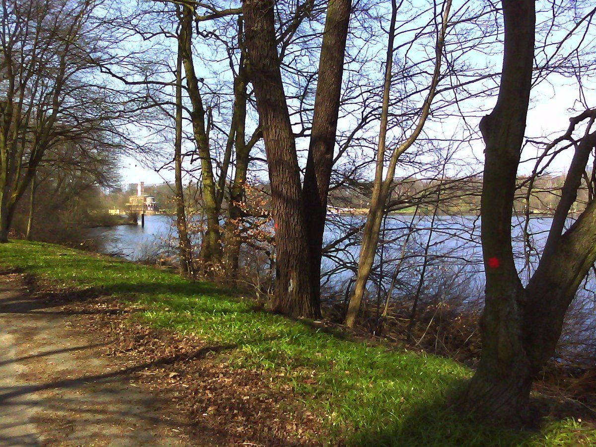 PIXI2015-04-10-120704.jpg