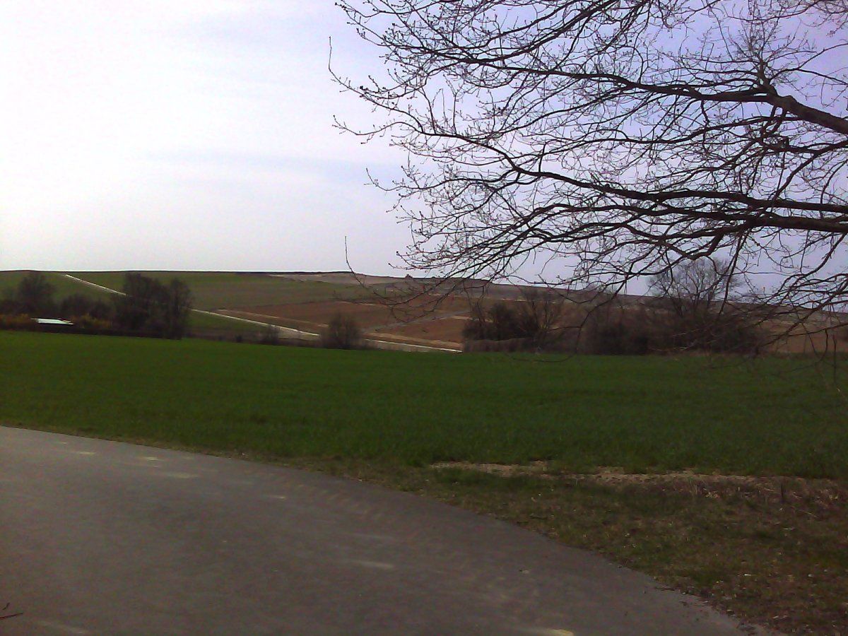 PIXI2015-04-11-123459.jpg