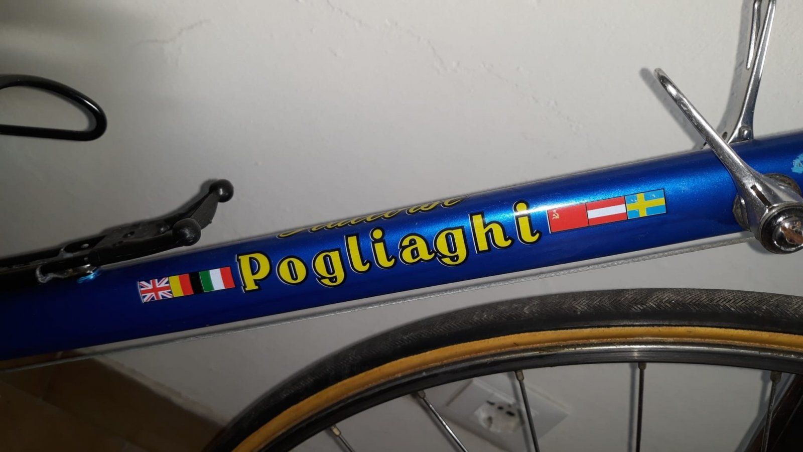 Pog_02.jpg