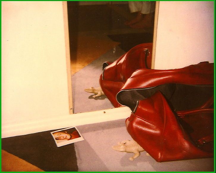 Polaroid.jpg