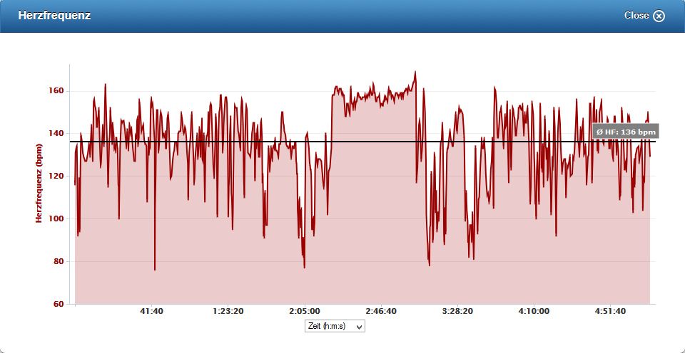 puls.jpg