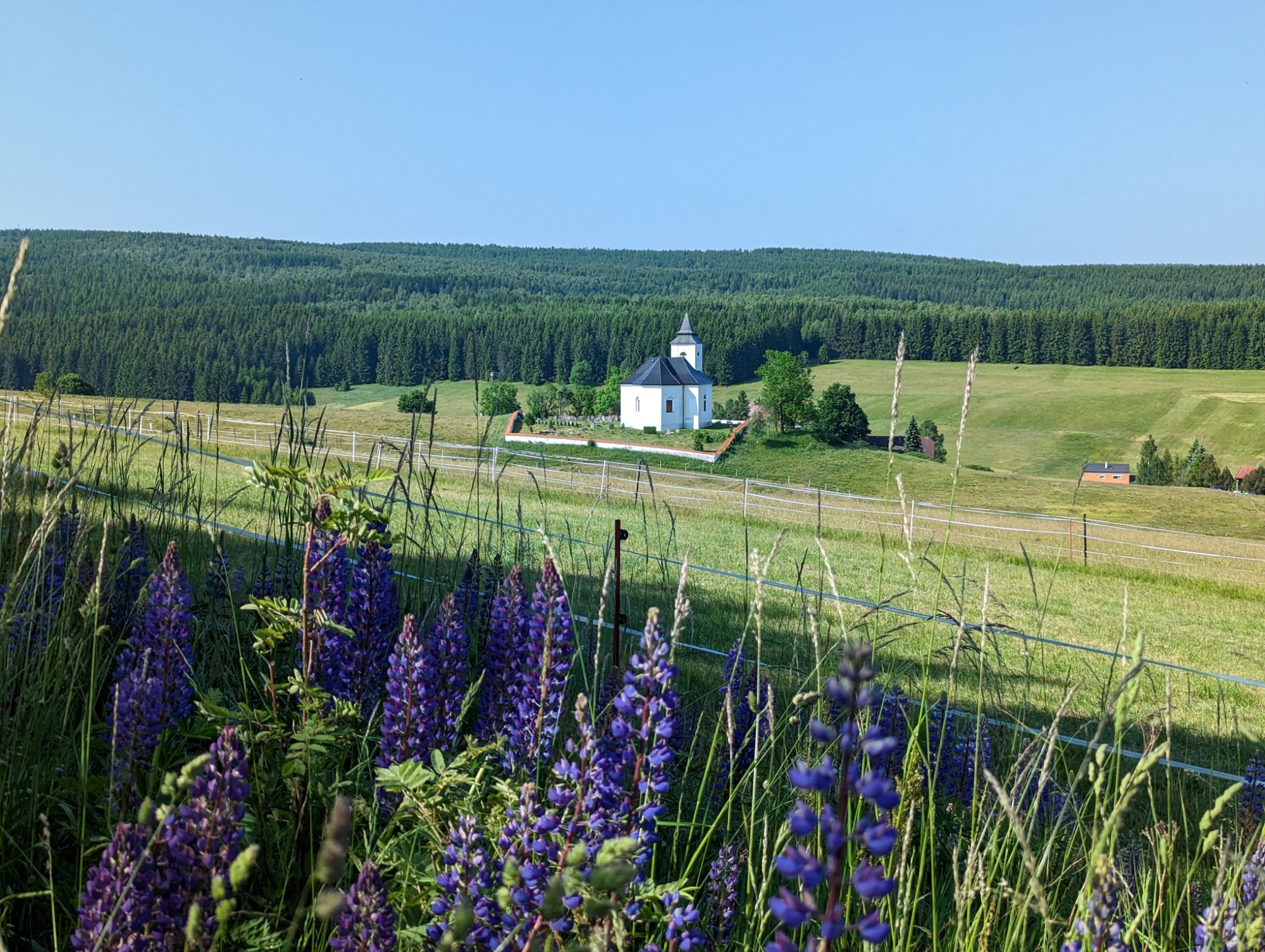 PXL_20230618_071445424.jpg