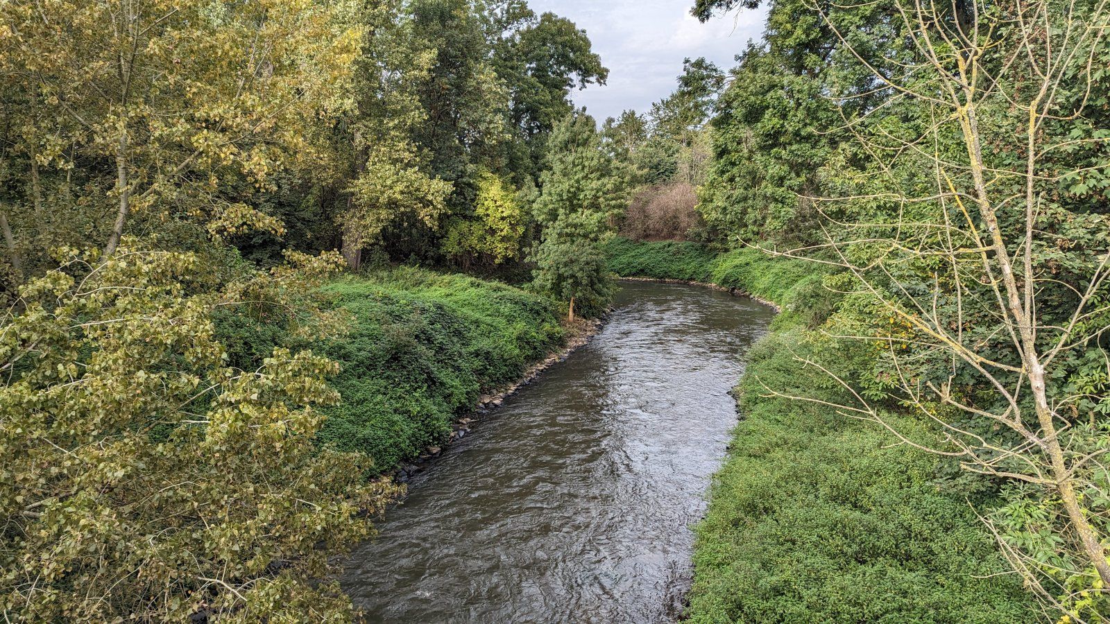 PXL_20231002_142111521.jpg