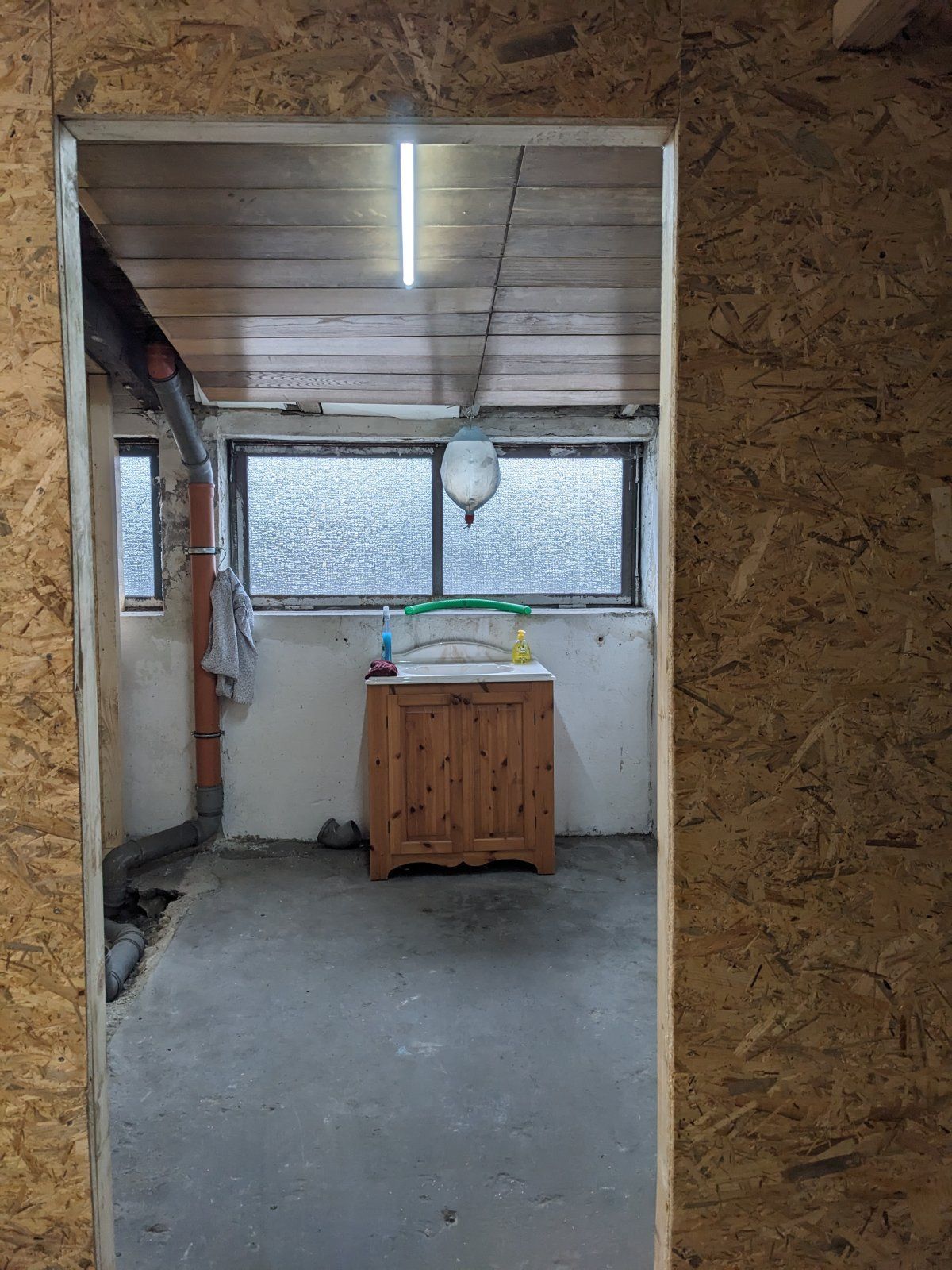 PXL_20240217_151317658.jpg